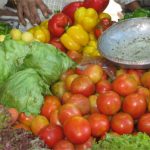 legume-fructe-taraba